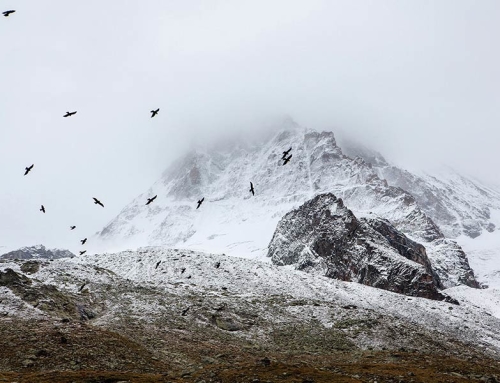 Beautiful South America Expeditions
