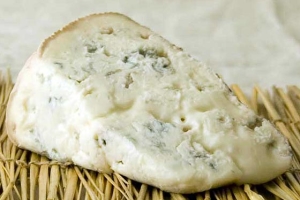 gorgonzola2