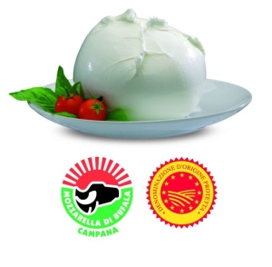 mozzarella-mbc_dop