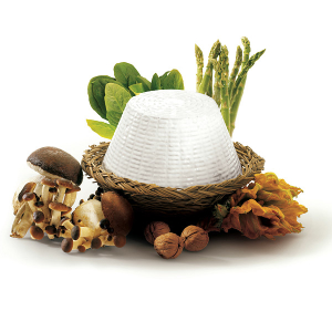 ricotta-romana-dop-still-life