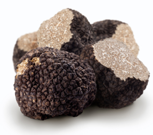 Black truffles on a white background
